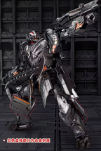 MW 02 | Megatron